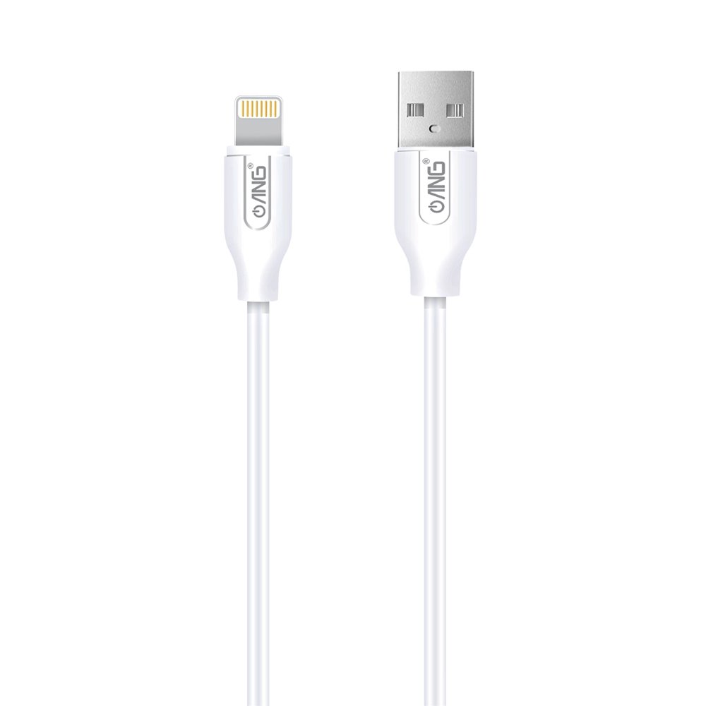 135A ANG CB01 Lightning Fast Charging Data Cable 2 Meter ANG CB01-1