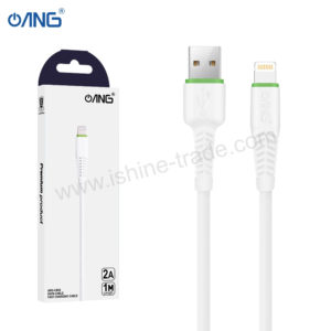 ANG CB08