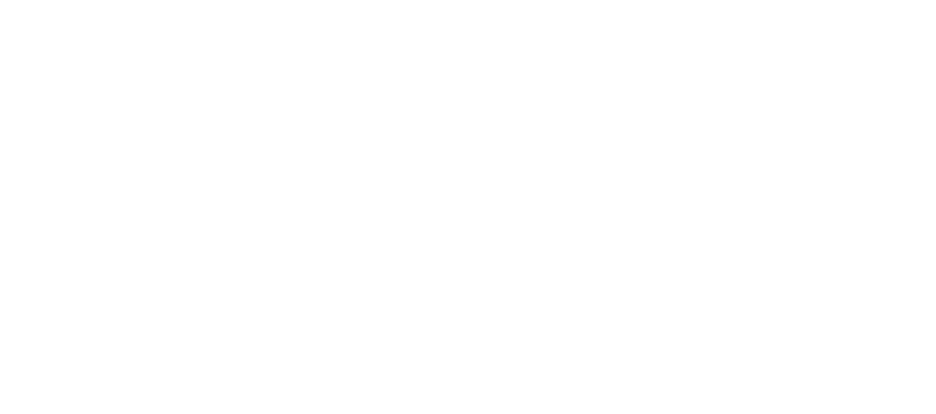 ANG New Logo The Perfect tech Experience White-01