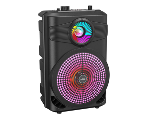 1A ANG SPK02 Speaker